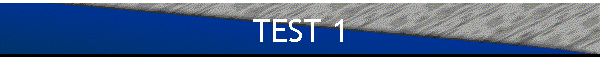 TEST 1